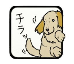 Pretty miniature dachshund. sticker #11637373