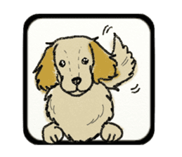 Pretty miniature dachshund. sticker #11637377