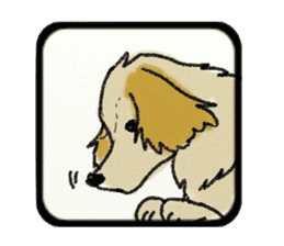 Pretty miniature dachshund. sticker #11637378