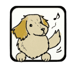 Pretty miniature dachshund. sticker #11637379