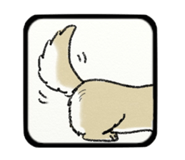 Pretty miniature dachshund. sticker #11637380