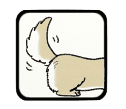 Pretty miniature dachshund. sticker #11637380