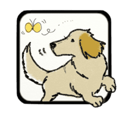 Pretty miniature dachshund. sticker #11637381