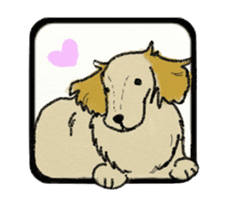 Pretty miniature dachshund. sticker #11637382