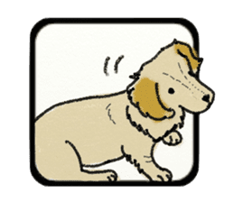 Pretty miniature dachshund. sticker #11637383