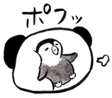 Tired penguin meets Calligraphy's Panda sticker #11637655