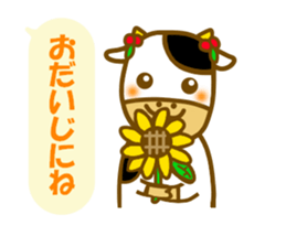 Daily cow sticker sticker #11638122