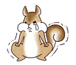 Guri of Squirrel sticker #11640390