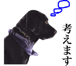 Black Labrador sticker #11640512