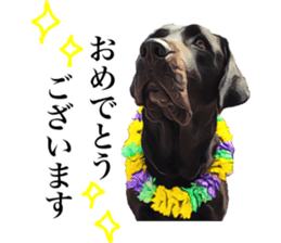 Black Labrador sticker #11640520