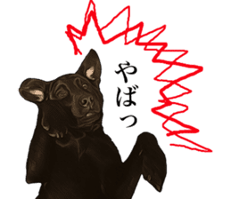 Black Labrador sticker #11640523