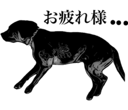 Black Labrador sticker #11640529