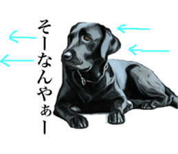 Black Labrador sticker #11640538