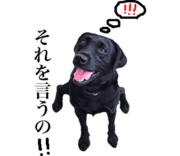 Black Labrador sticker #11640539