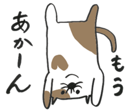 strange nose cat sticker #11640886