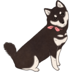 Black Mame Shiba . part2