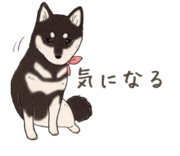 Black Mame Shiba . part2 sticker #11642628