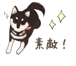 Black Mame Shiba . part2 sticker #11642629
