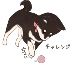 Black Mame Shiba . part2 sticker #11642631