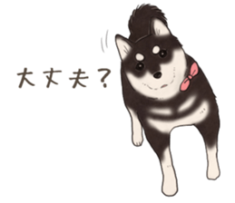 Black Mame Shiba . part2 sticker #11642634