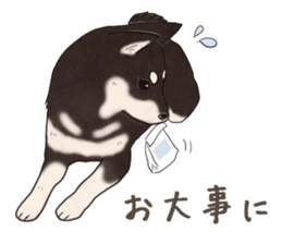 Black Mame Shiba . part2 sticker #11642635