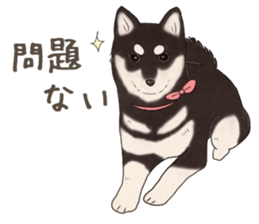 Black Mame Shiba . part2 sticker #11642637