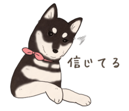 Black Mame Shiba . part2 sticker #11642639
