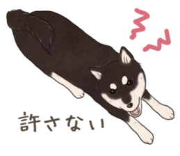 Black Mame Shiba . part2 sticker #11642641