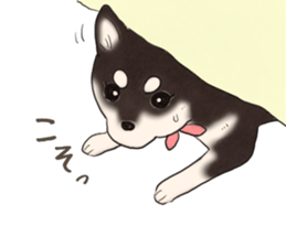 Black Mame Shiba . part2 sticker #11642643