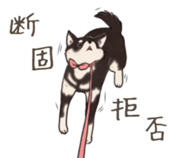 Black Mame Shiba . part2 sticker #11642646