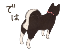 Black Mame Shiba . part2 sticker #11642647