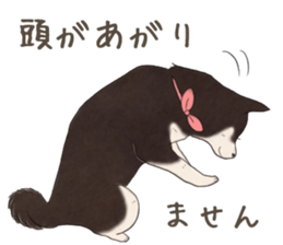 Black Mame Shiba . part2 sticker #11642649