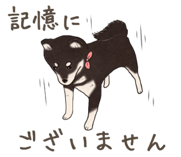 Black Mame Shiba . part2 sticker #11642650
