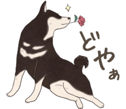 Black Mame Shiba . part2 sticker #11642652