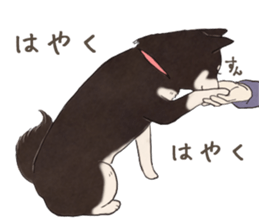 Black Mame Shiba . part2 sticker #11642653