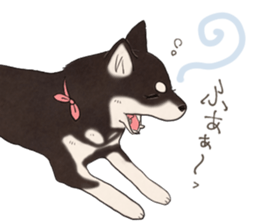 Black Mame Shiba . part2 sticker #11642656