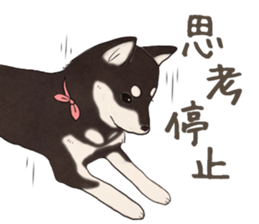 Black Mame Shiba . part2 sticker #11642657