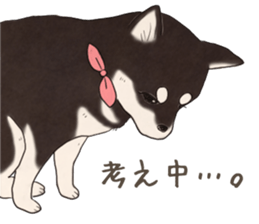 Black Mame Shiba . part2 sticker #11642658