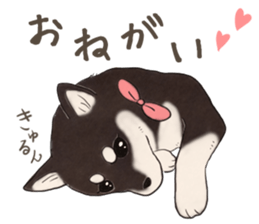 Black Mame Shiba . part2 sticker #11642660