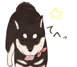 Black Mame Shiba . part2 sticker #11642662