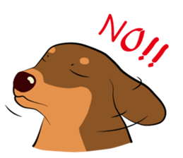 Chocolate and cats apartment sticker #11643240