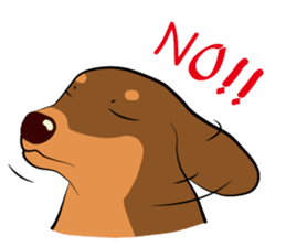 Chocolate and cats apartment sticker #11643240