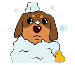 Chocolate and cats apartment sticker #11643241