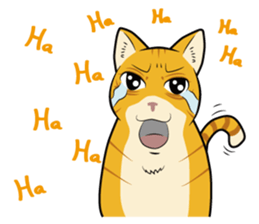 Chocolate and cats apartment sticker #11643253