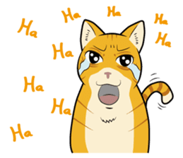 Chocolate and cats apartment sticker #11643253