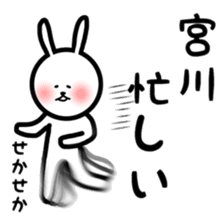 Fukurabbit Miyagawa sticker sticker #11643589
