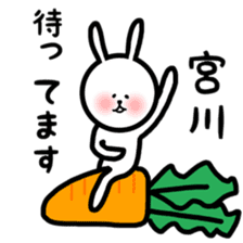 Fukurabbit Miyagawa sticker sticker #11643600
