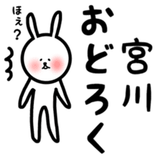 Fukurabbit Miyagawa sticker sticker #11643618