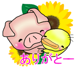 Little pig "Mee" and little chick "Key" sticker #11643625