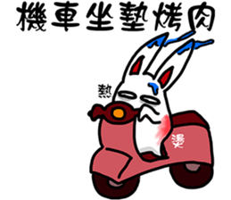 Amber rabbit -2 sticker #11646467